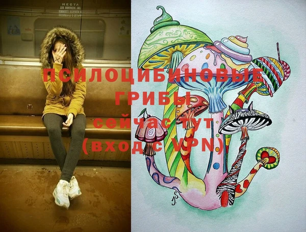 СК Киренск