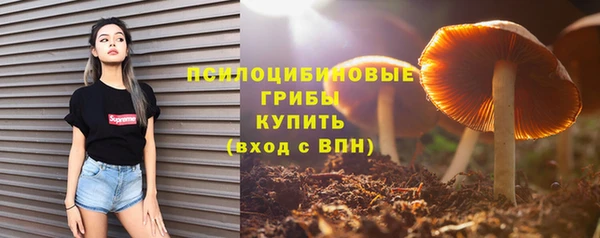 прущий лед Киреевск
