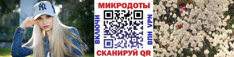Псилоцибиновые грибы ЛСД  Купить где  Дагестанские Огни 