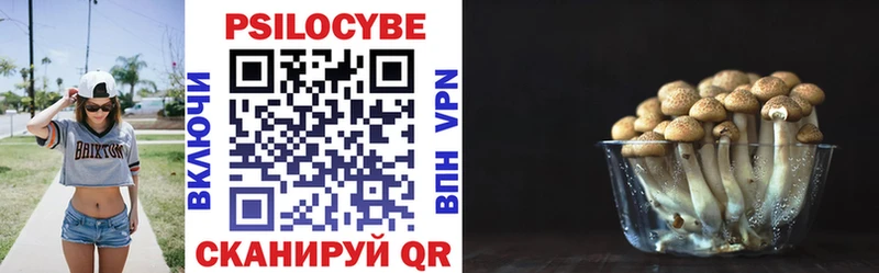 Псилоцибиновые грибы Cubensis Дагестанские Огни